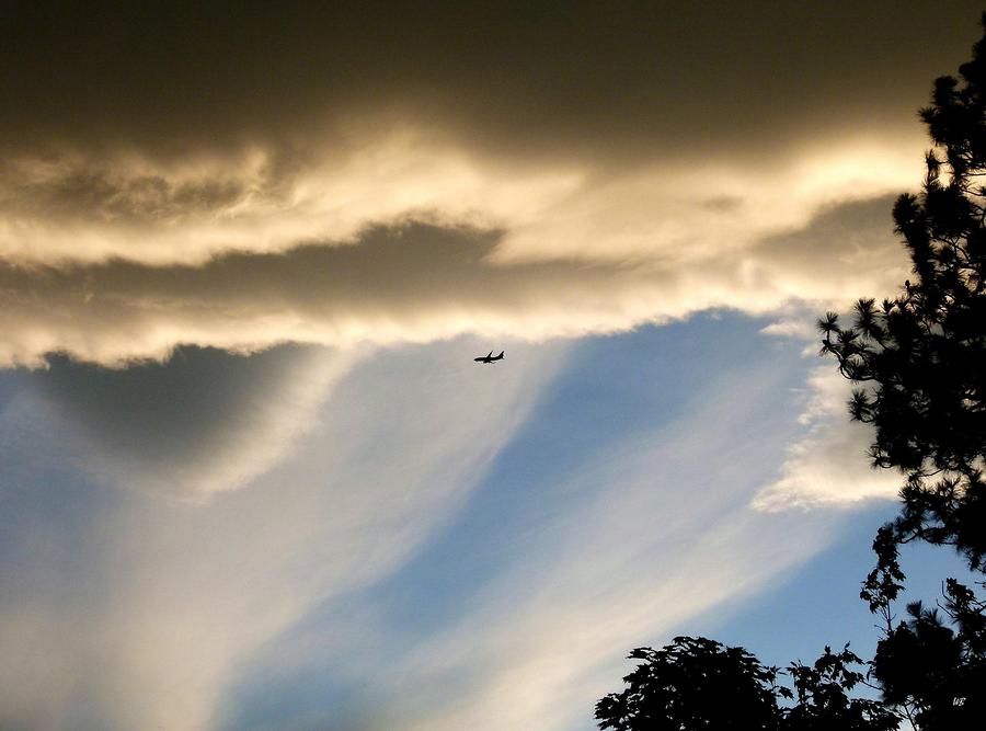 Tree Photograph - Fascinating Clouds And A 737 by Will Borden