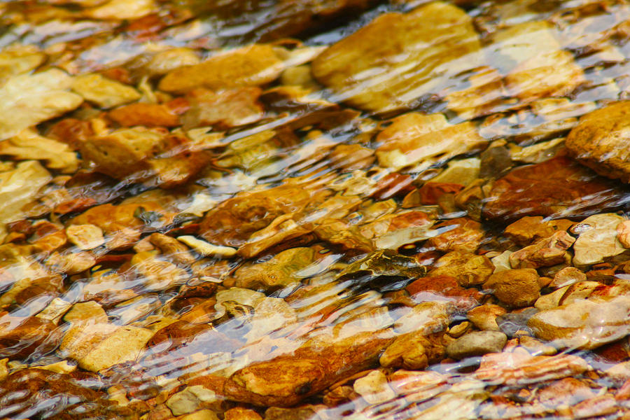 Nature Photograph - Fast Flowing by Karen Wagner