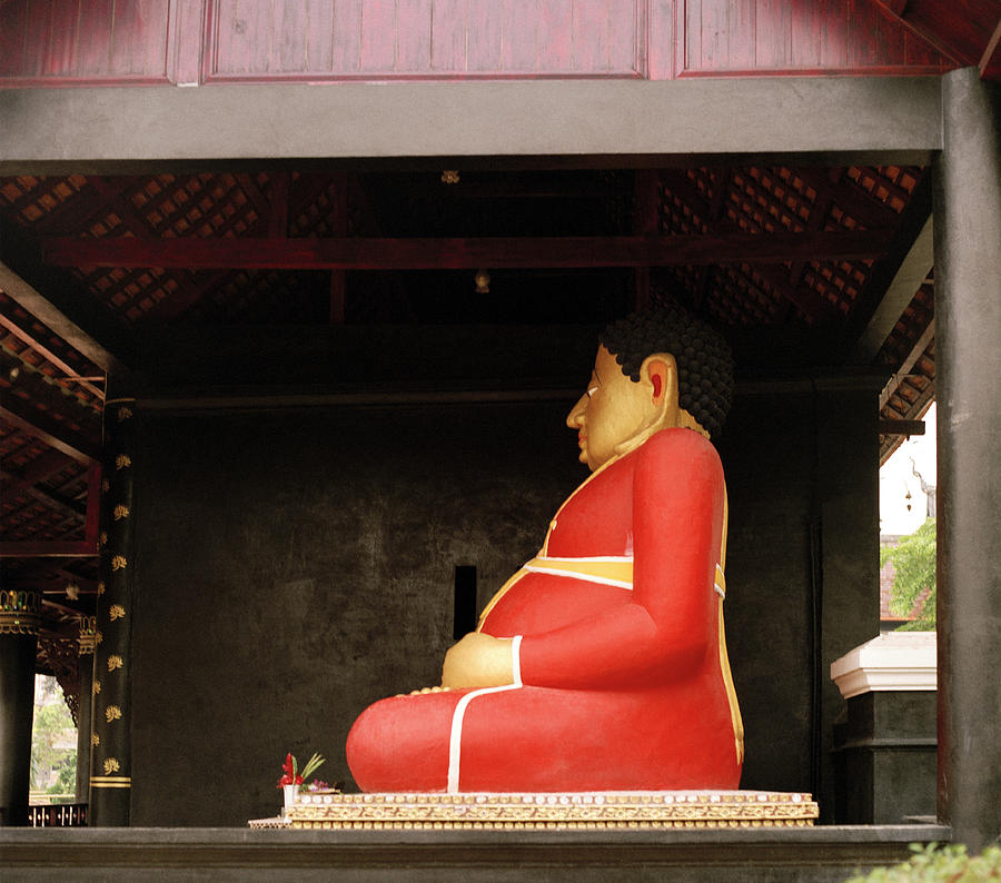Fat Buddha In Thailand Photograph by Shaun Higson
