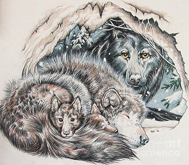 Wolves Drawing - Father Wolf by Kimberlee  Ketterman Edgar