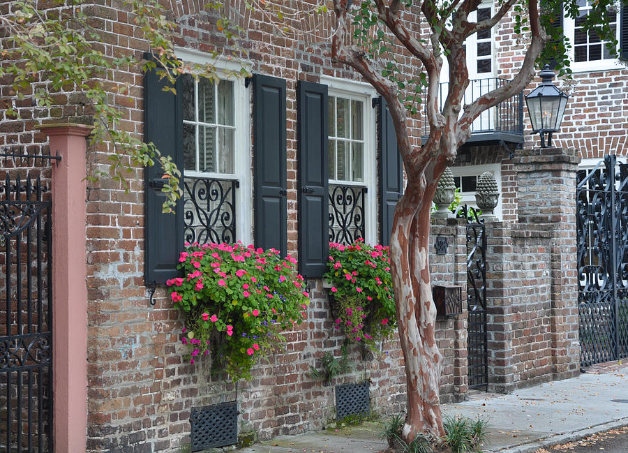 Favorite Tradd Street Window boxes Photograph by Lori Kesten - Fine Art ...