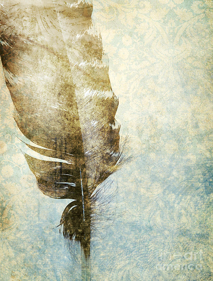 Vintage Photograph - Feather by HD Connelly