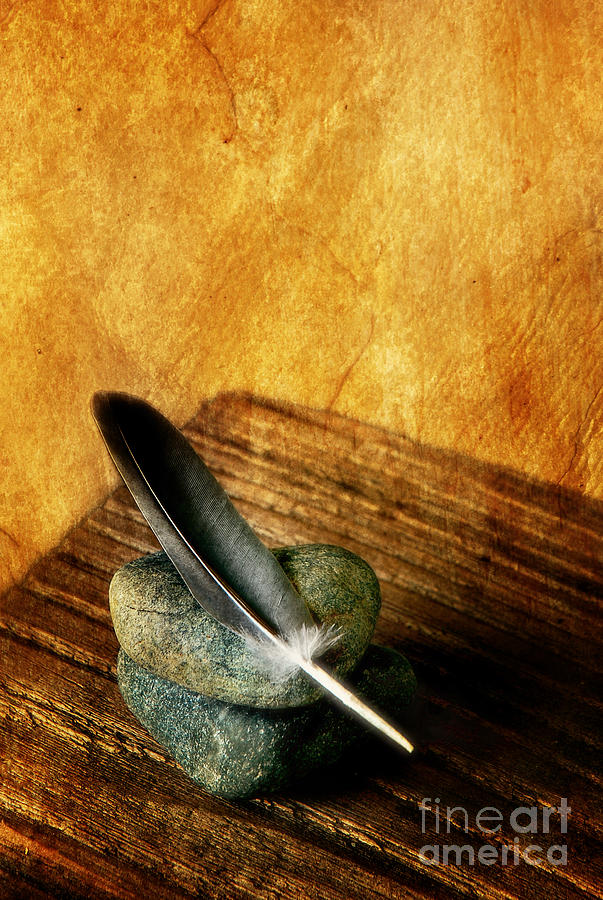 Nature Photograph - Feather With Stones by HD Connelly
