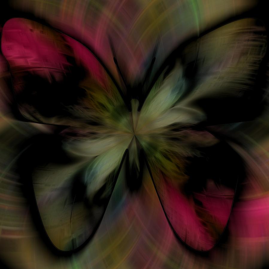 Feathered Butterfly Digital Art