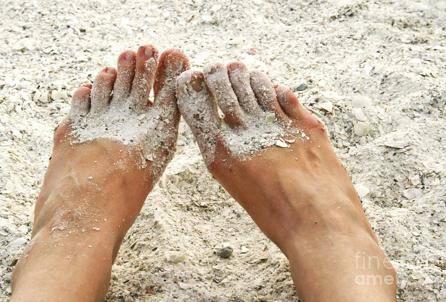 Summer Photograph - Feet in sand by Blink Images