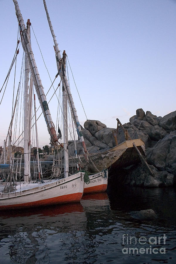 Felucca parking Photograph by Darcy Michaelchuk