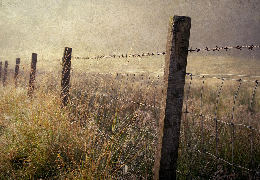 Fence and Field. Trossachs National Park. Scotland Photograph by Jenny Rainbow