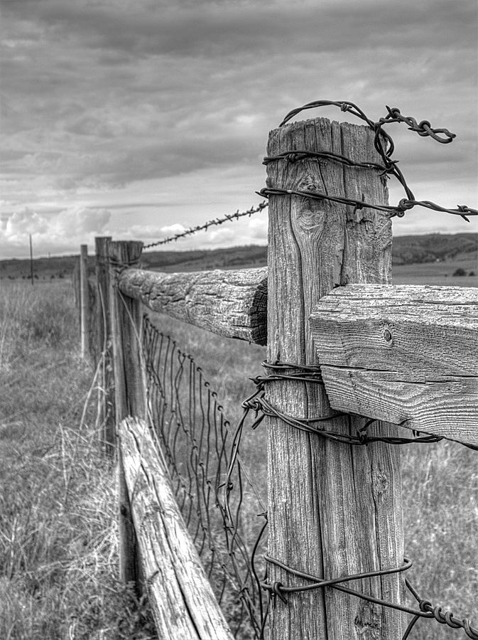 Fence and Wire Photograph by HW Kateley