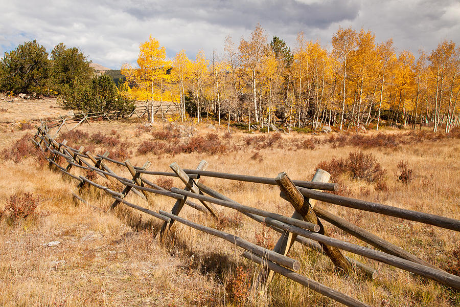 Fall Photograph - Fence at Kenosha Pass by Adam Pender