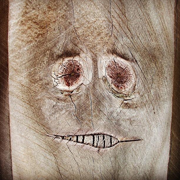 Jj Photograph - #fence #face #wood #knot by Cameron Bentley Jj Photograph - #fence #face #wood #knot by Cameron Bentley