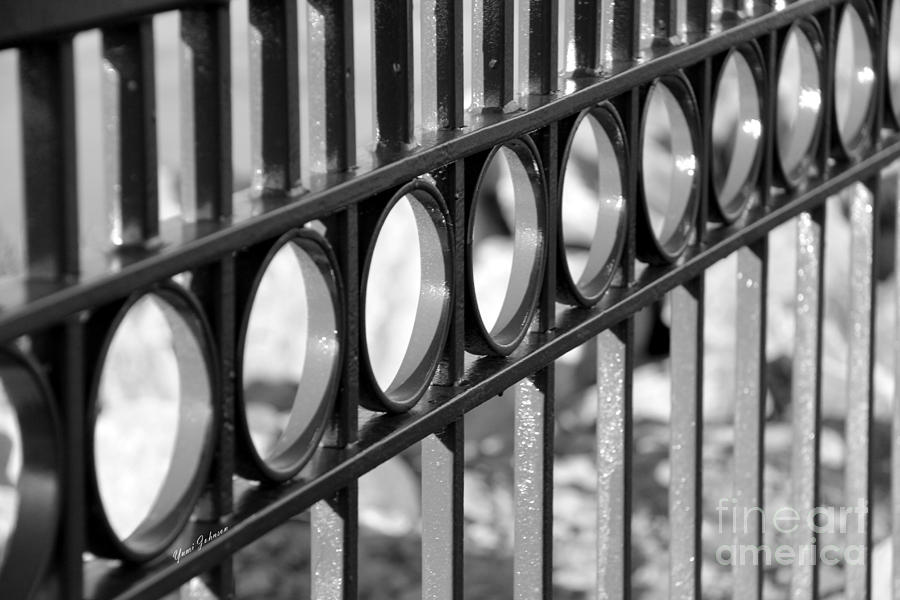 Fence in black and white Photograph by Yumi Johnson