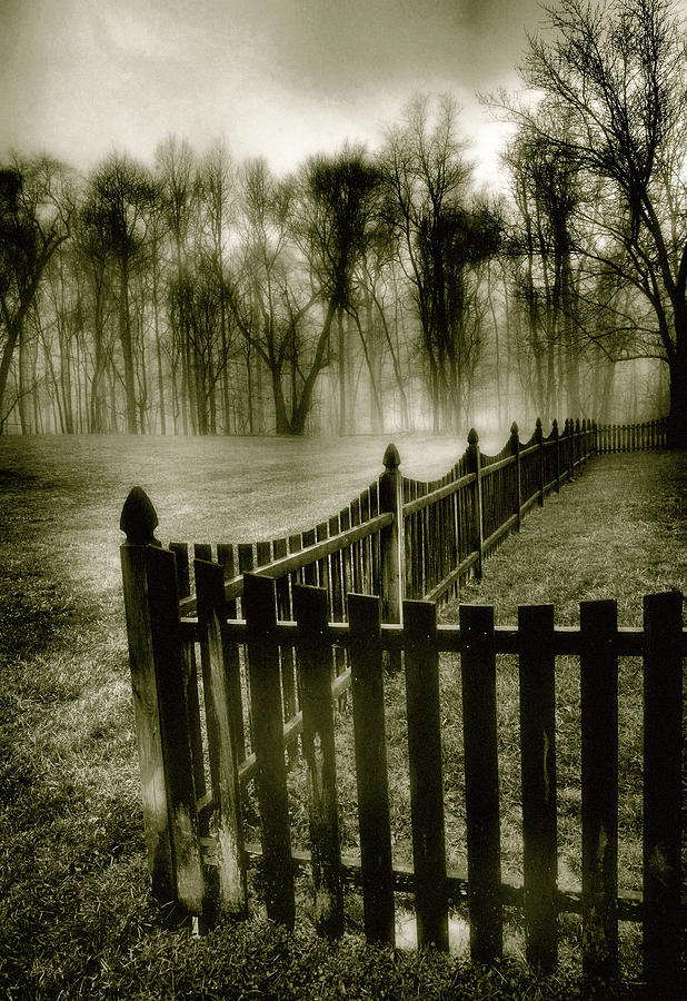 Fence In Fog Photograph by Steven Ainsworth