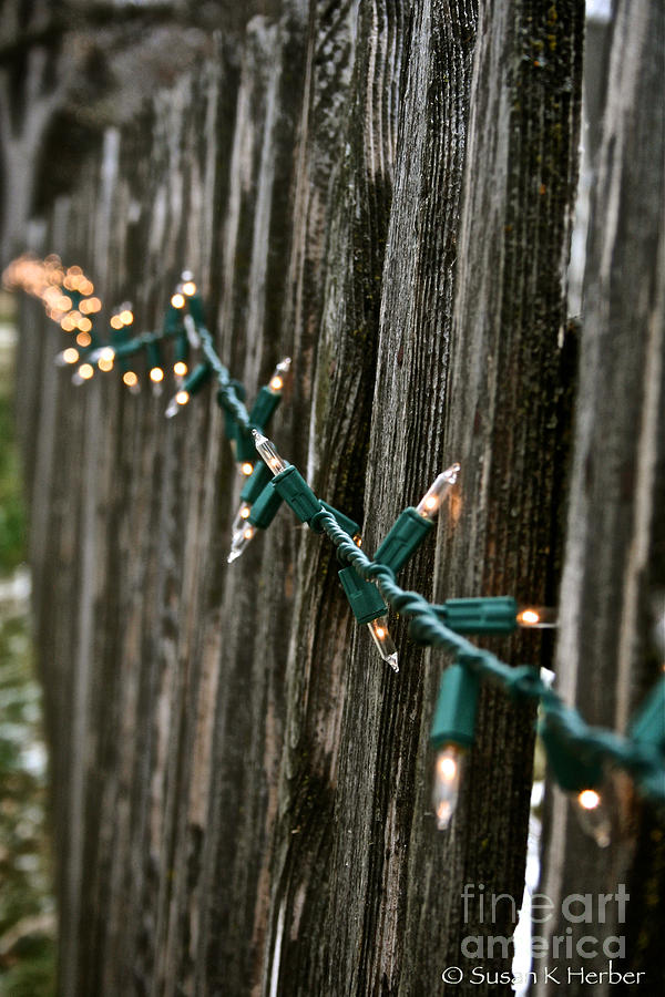 Fence Lights Photograph by Susan Herber