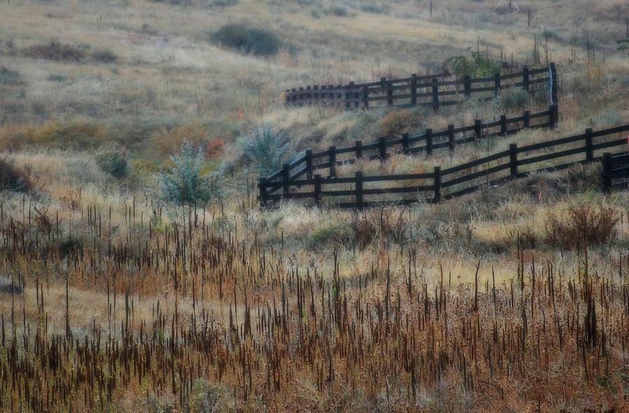 Fence Line Photograph by Amee Cave