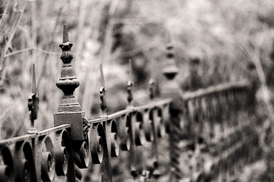 Black And White Photograph - Fence Line by Rebecca Cozart