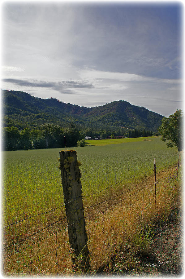 Fence Post and Grain Field Photograph by Mick Anderson