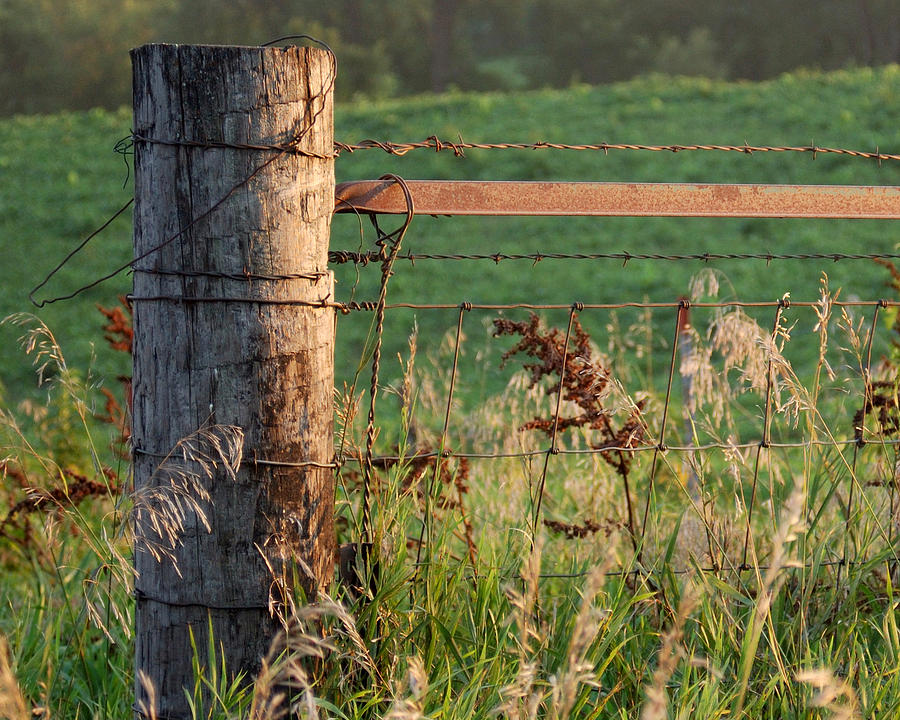 Fence Photograph - Fence Post in Color by Christina Young