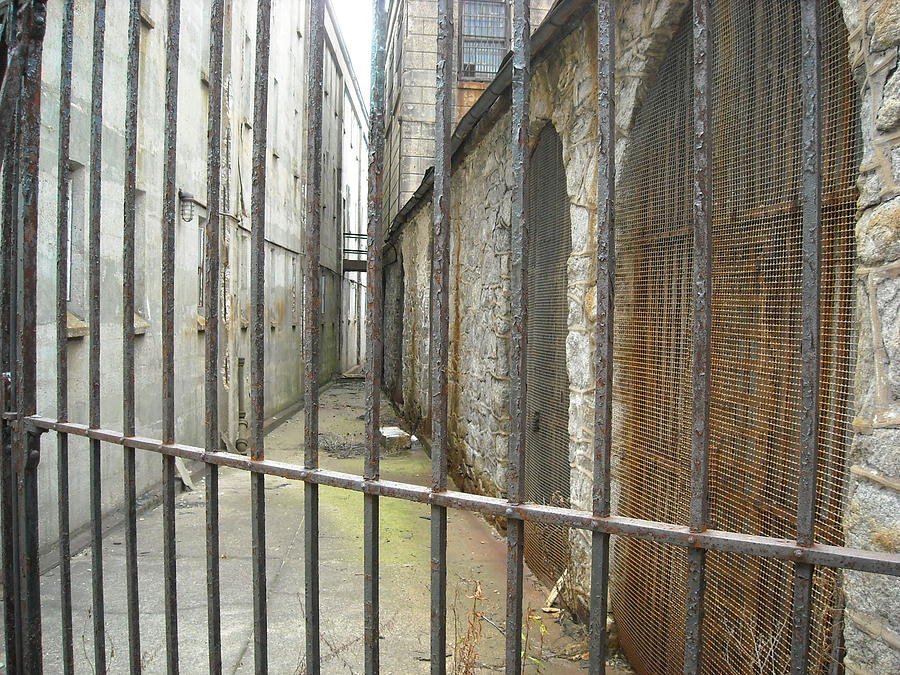 Fenced Alleyway Photograph by Christophe Ennis