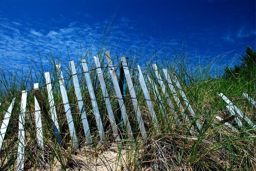 Fenced Dunes Photograph by Janice Adomeit
