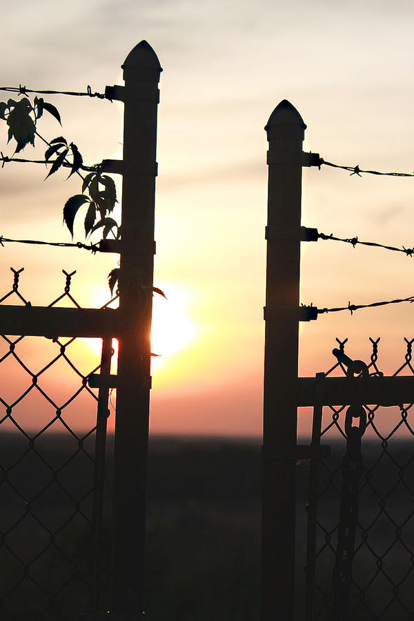 Sunset Photograph - Fenced In by Mark  France