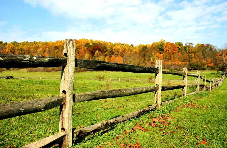 Fenced Pasture in Autumn Photograph by Kristin Elmquist