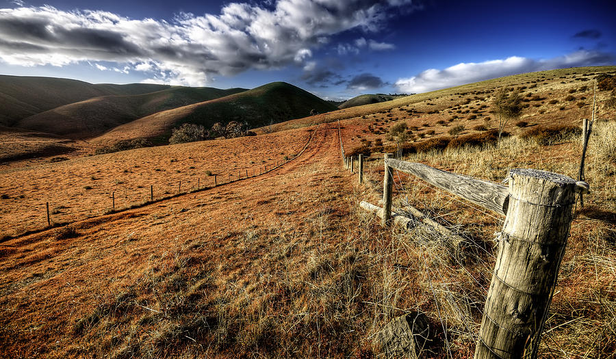 Landscape Photograph - Fencelines by Wayne Sherriff