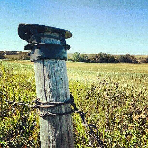 Landscape Photograph - #fenceposts And #fields. #saskatchewan by Michael Squier