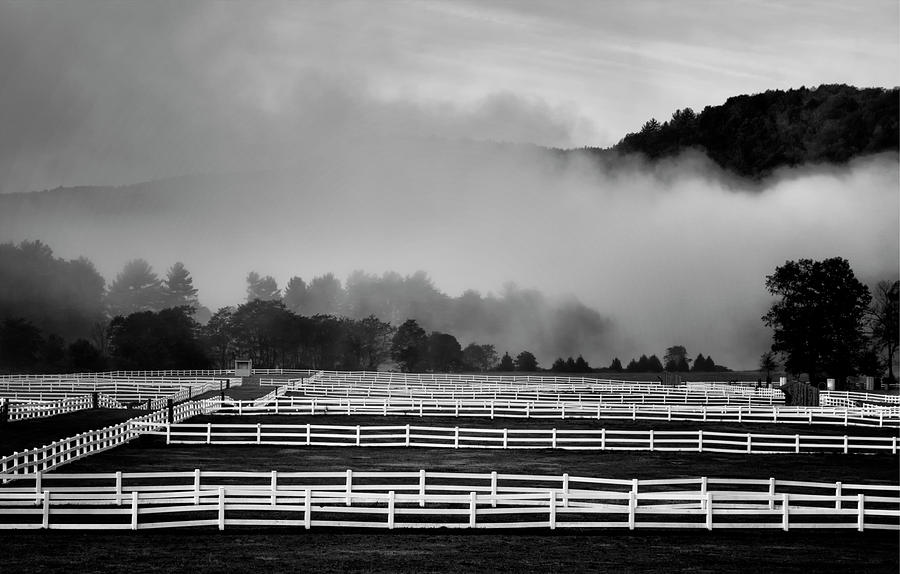 Fences and Fog Photograph by Tom Singleton