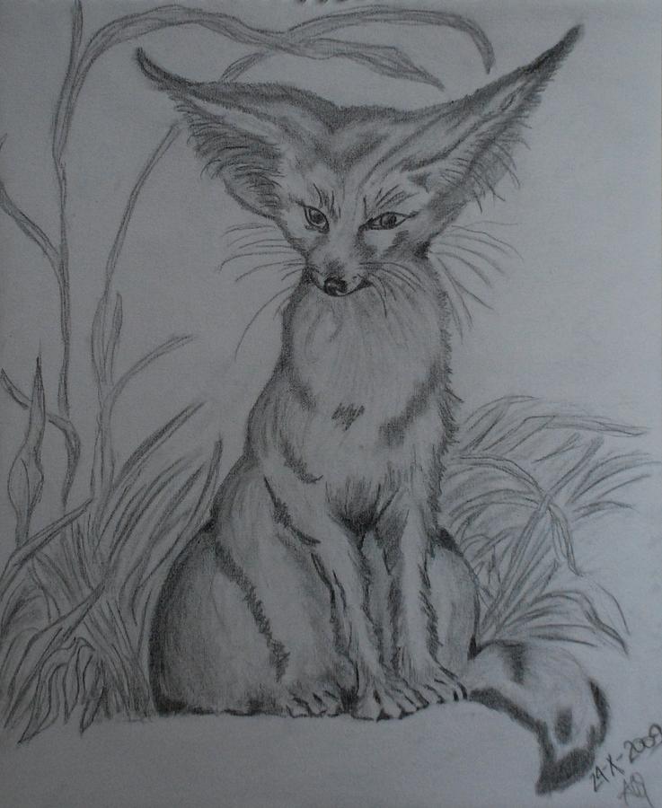 Reverie Fox Drawing  Silverline Fine Art