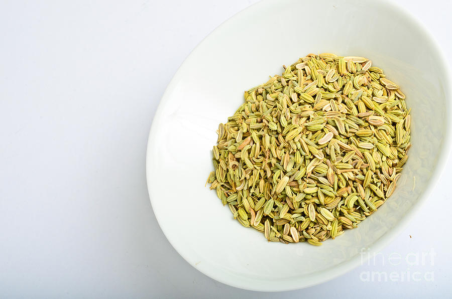 Fennel Seeds Photograph by Photo Researchers