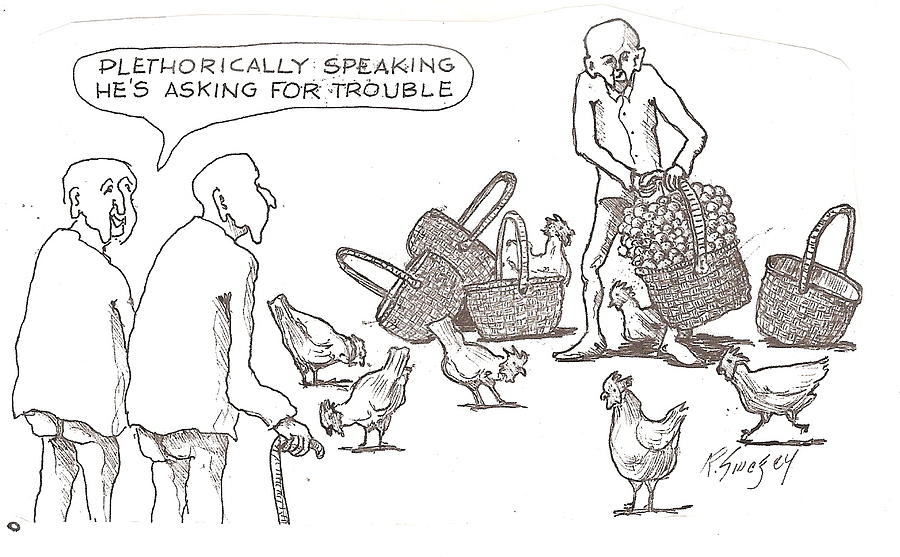 Feral Coots Life Lesson A Drawing by Roger Swezey
