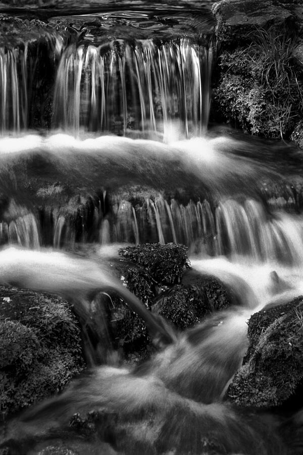 Fern Falls in BW Photograph by Paul W Faust -  Impressions of Light