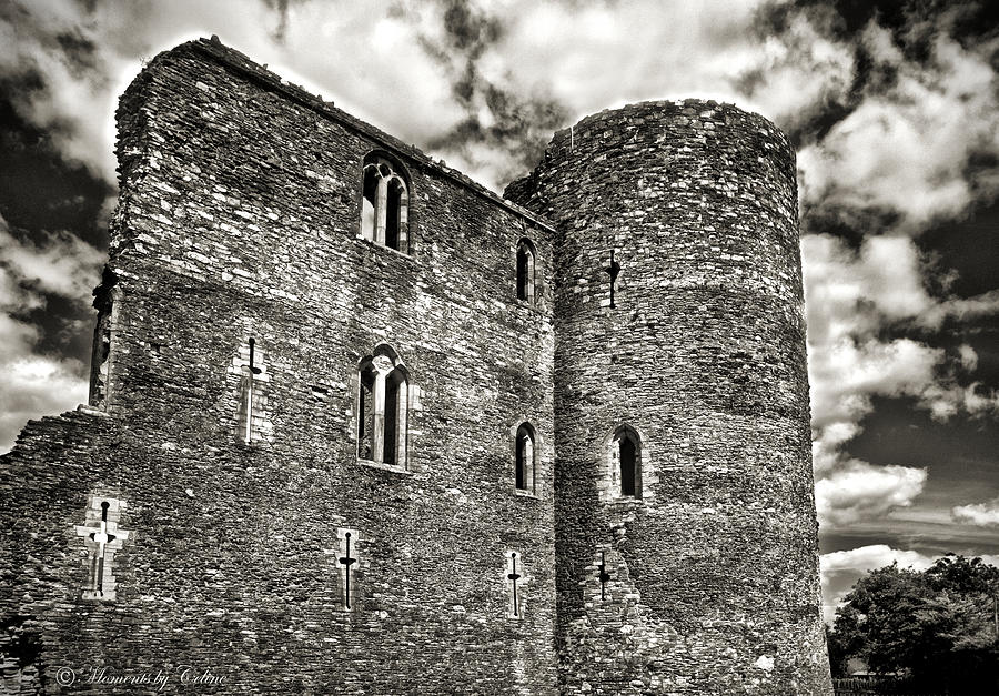 Ferns Castle of Ireland in Mono Photograph by Celine Pollard