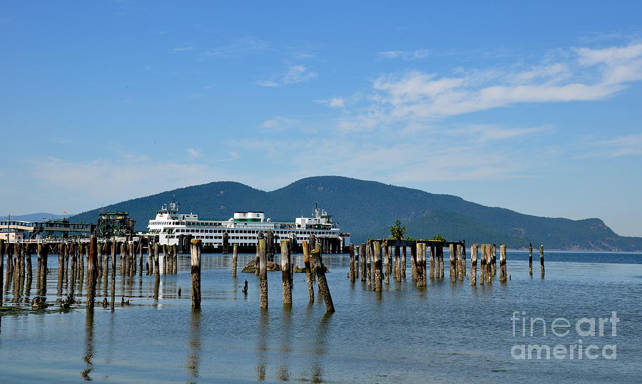 Ferry Dock In Anacortes WA  2 Photograph by Tatyana Searcy