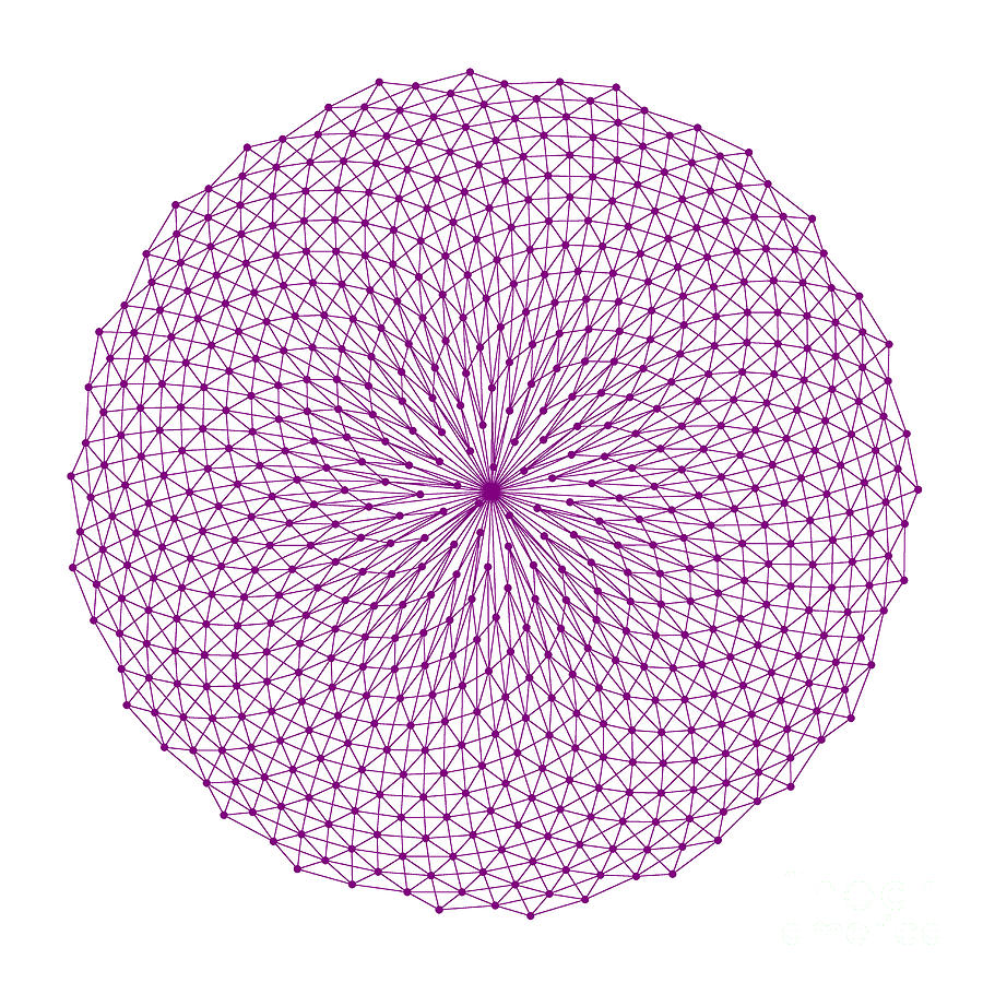 Fibonacci Photograph - Fibonacci figure showing purple reticulation and small purple elements by Marcus West