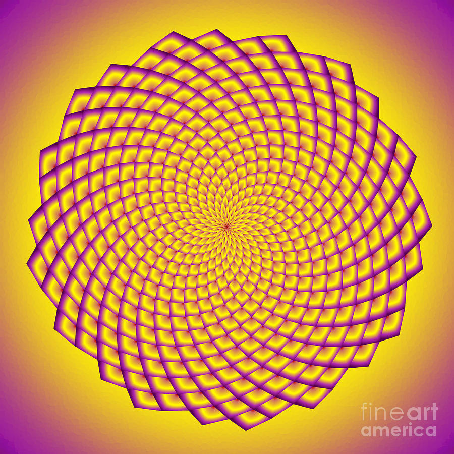 fibonacci-image-with-filled-spirals-in-yellow-and-purple-marcus-west.jpg