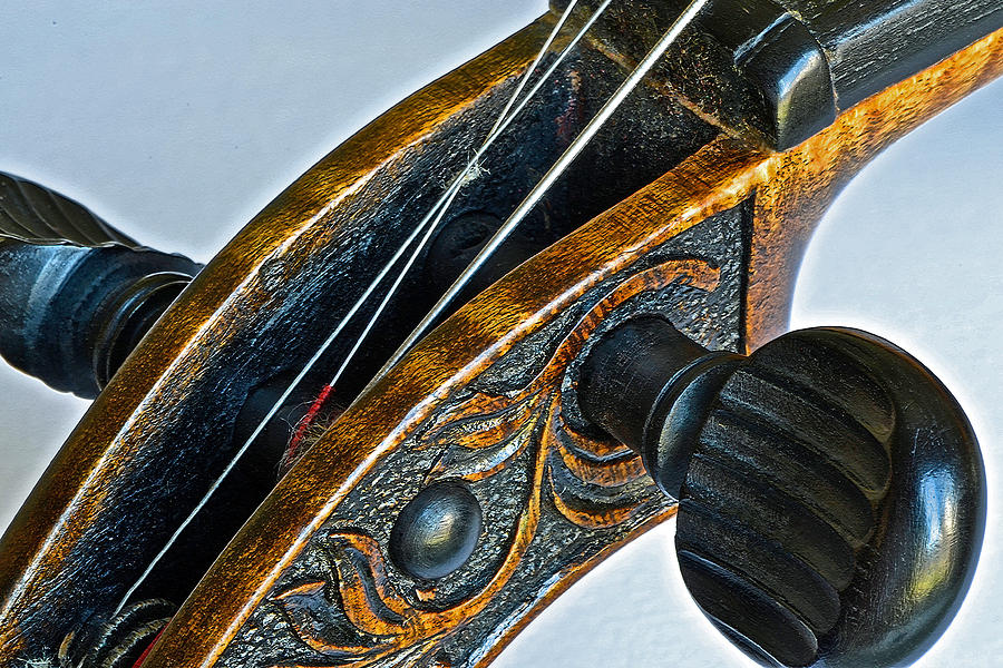 Fiddle Strings Iv Photograph by Bill Owen
