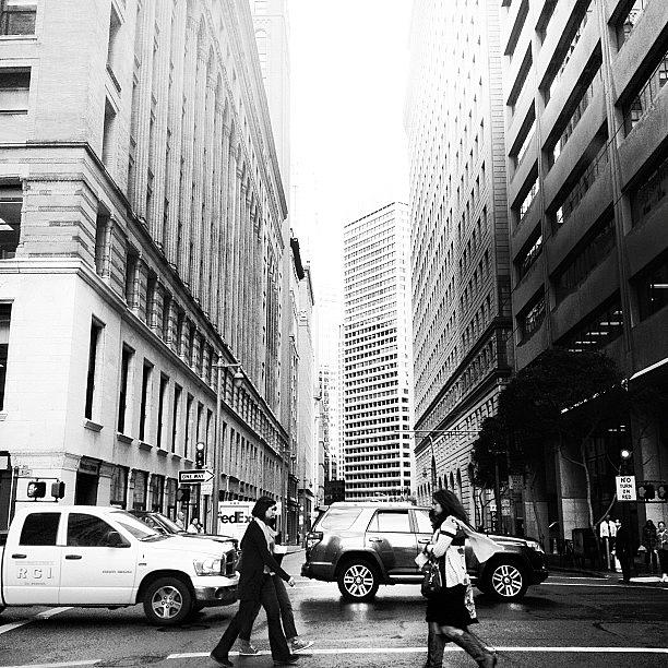 Fidi Photograph by Meredith Leah