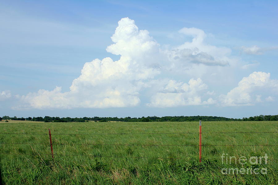Landscape Photograph - Field and Clouds by Sheri Simmons