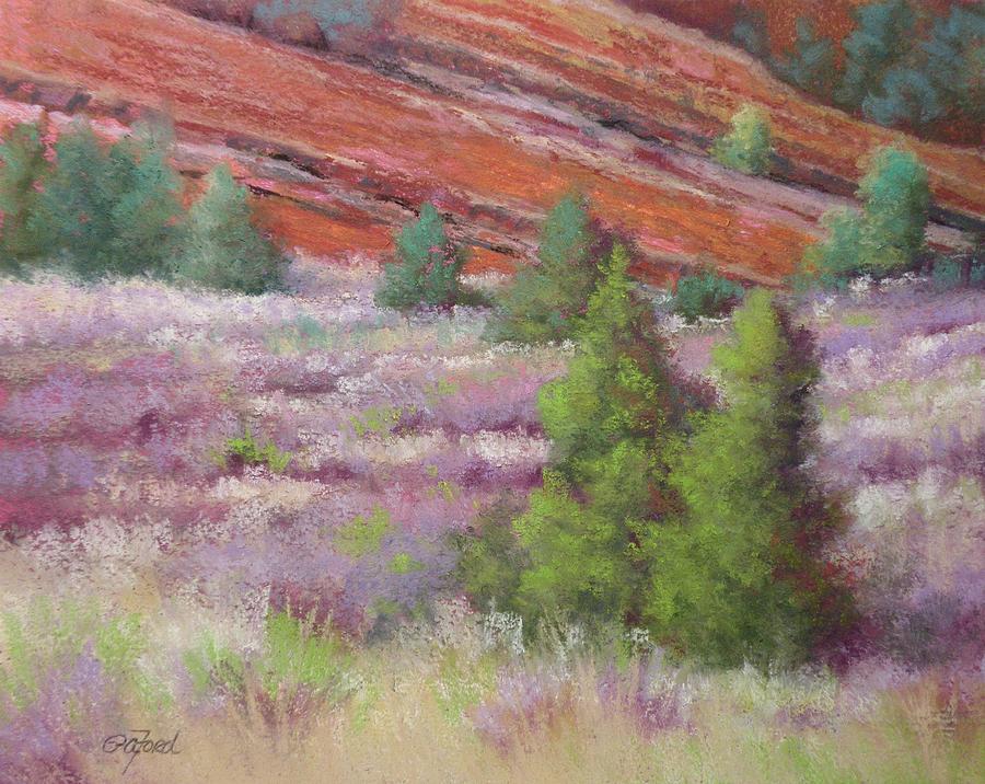 Impressionism Painting - Field at Red Rock by Paula Ann Ford