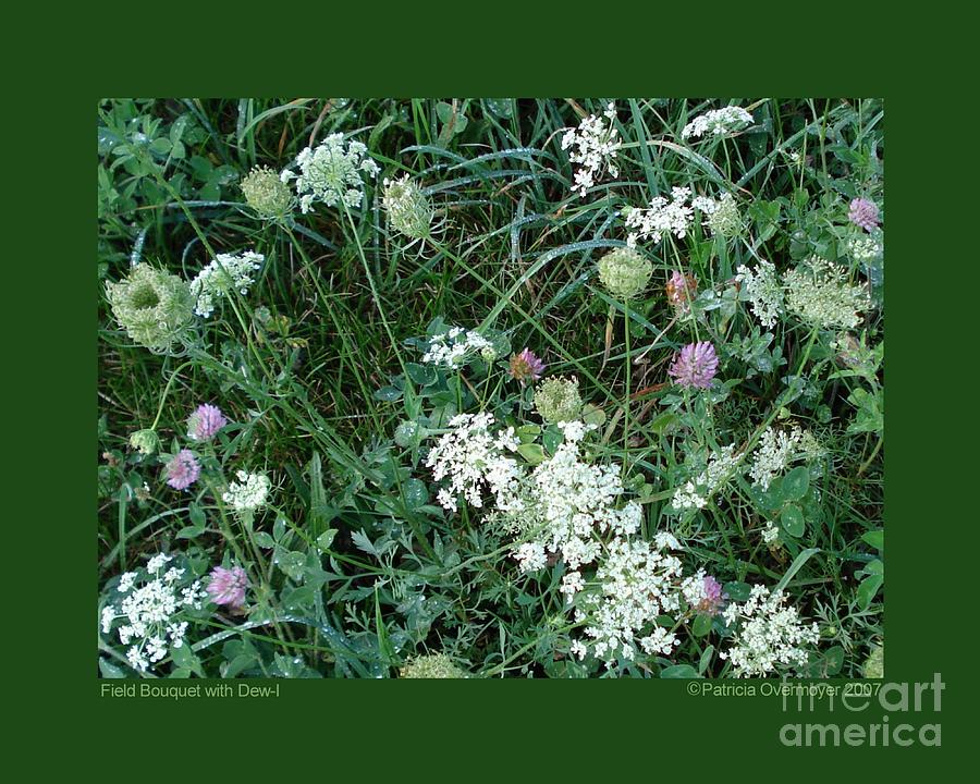 Field Bouquet with Dew-I Photograph by Patricia Overmoyer