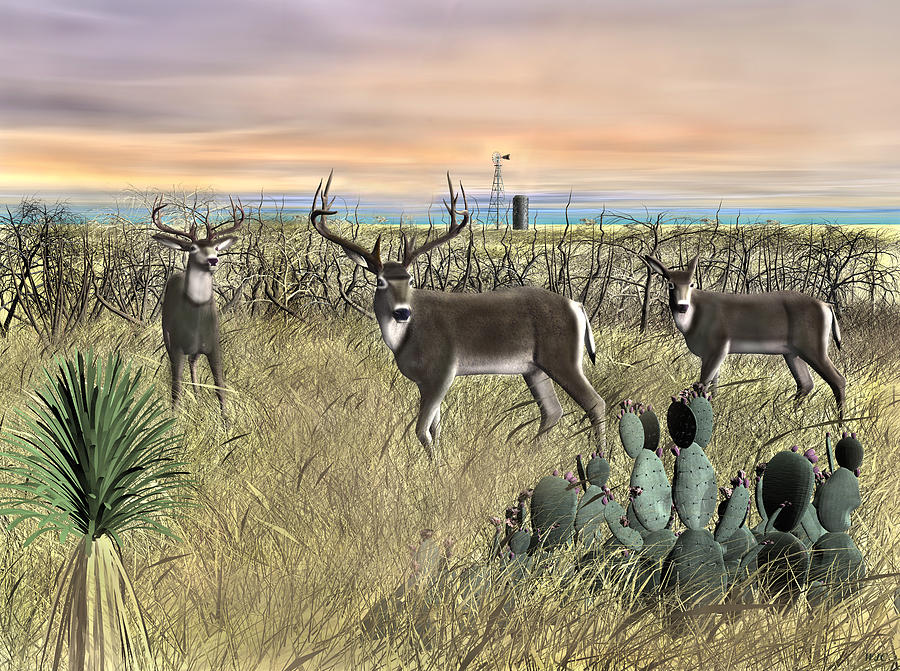 Field Deer Digital Art by Walter Colvin
