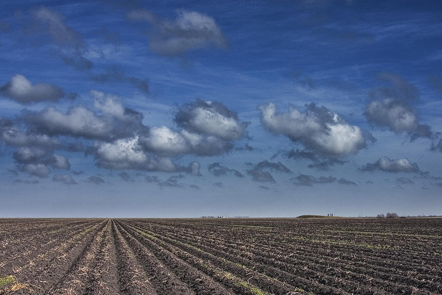 Field furrows and clouds in South East Texas Photograph by Randall ...