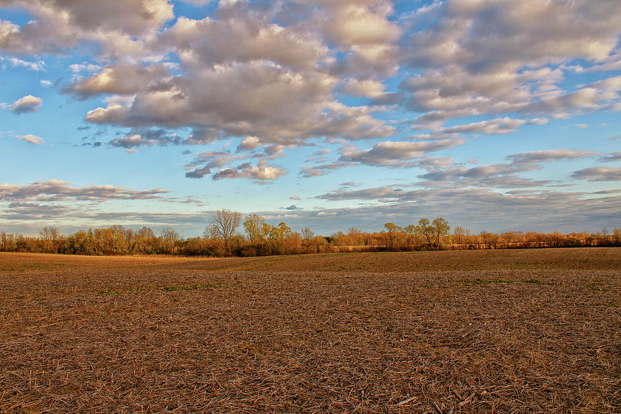 Field of Clouds Photograph by Rachel Cohen - Fine Art America