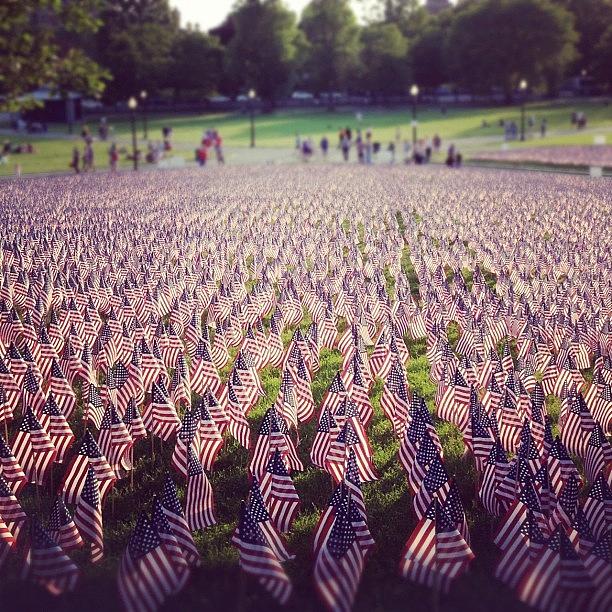 Boston Photograph - Field of Flags by Adam Lawrence