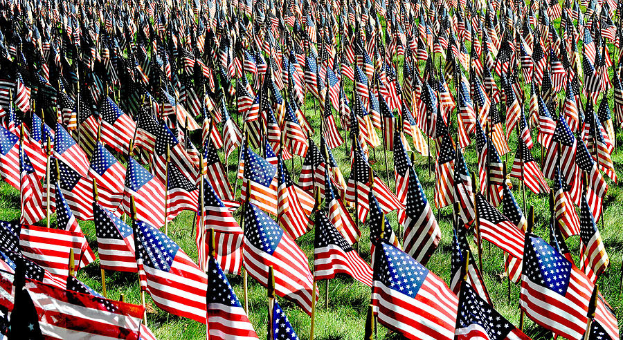 Field of flags Photograph by Mary Anne Williams | Fine Art America