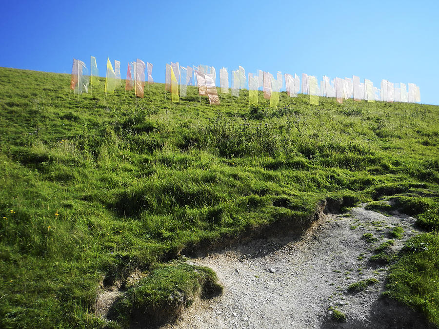 Field of Prayer Flags - IOW Photograph by Rod Johnson