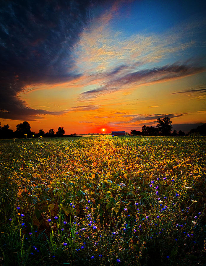 Fields and Dreams Photograph by Phil Koch | Fine Art America