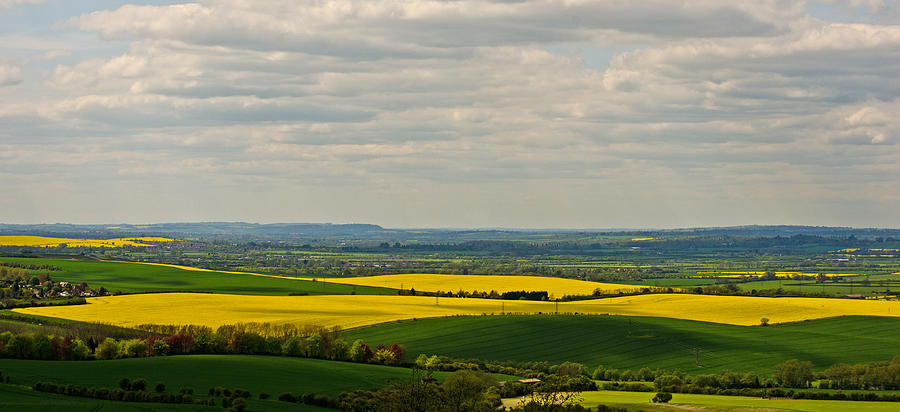 Fields of Gold Photograph by Chris Thaxter