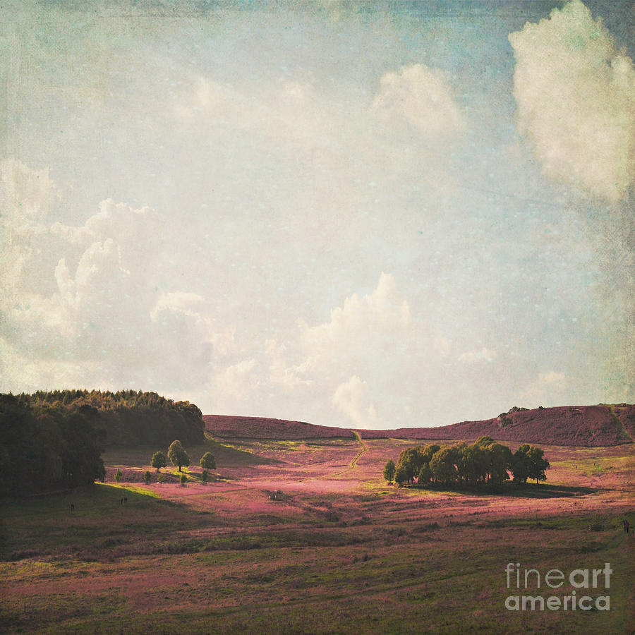 Tree Photograph - Fields of Heather by Lyn Randle